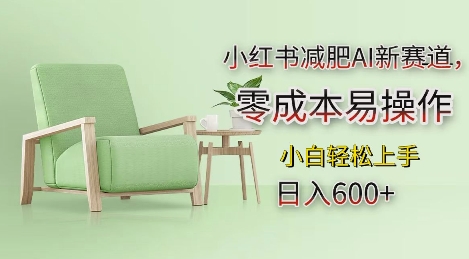 小红书减肥AI新赛道，零成本易操作，日入多张，小白轻松上手【揭秘】K叔网赚资源-网赚项目-副业赚钱-互联网创业-资源整合K叔网赚资源