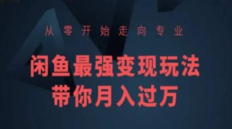 从零开始走向专业，闲鱼最强变现玩法带你月入过万K叔网赚资源-网赚项目-副业赚钱-互联网创业-资源整合K叔网赚资源