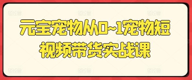 元宝宠物从0~1宠物短视频带货实战课K叔网赚资源-网赚项目-副业赚钱-互联网创业-资源整合K叔网赚资源