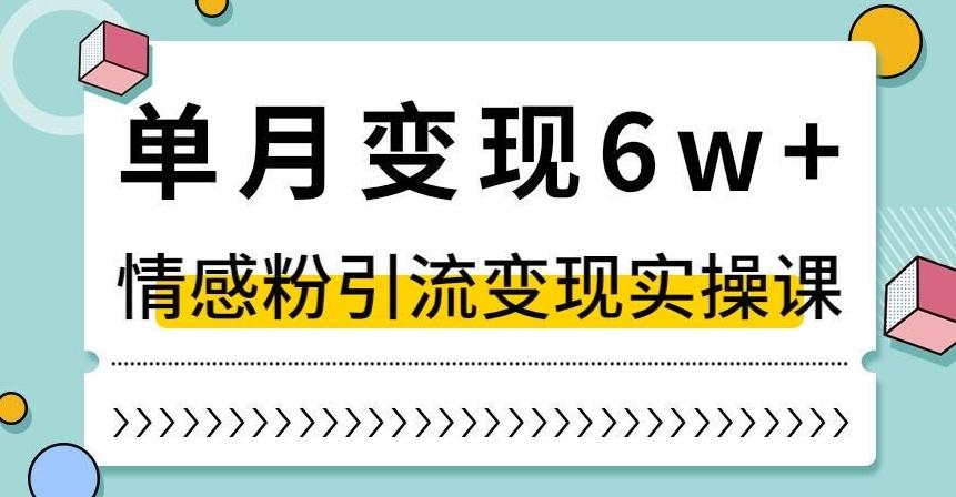 单月变现6W+，抖音情感粉引流变现实操课，小白可做，轻松上手，独家赛道【揭秘】K叔网赚资源-网赚项目-副业赚钱-互联网创业-资源整合K叔网赚资源