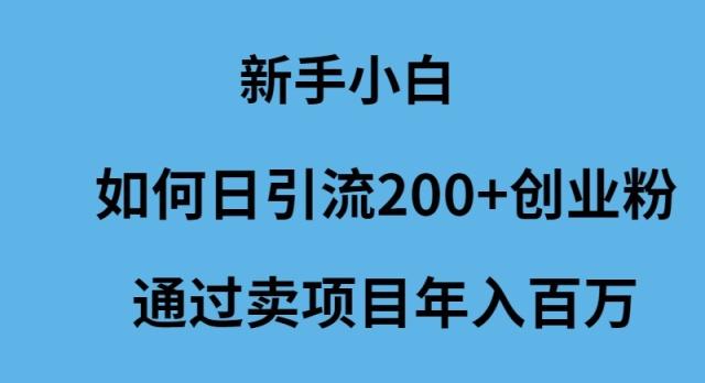 (9668期)新手小白如何日引流200+创业粉通过卖项目年入百万K叔网赚资源-网赚项目-副业赚钱-互联网创业-资源整合K叔网赚资源