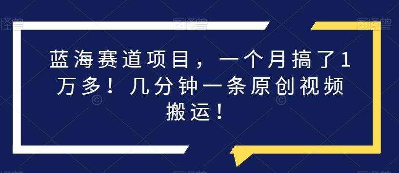 蓝海赛道项目，一个月搞了1万多！几分钟一条原创视频搬运！K叔网赚资源-网赚项目-副业赚钱-互联网创业-资源整合K叔网赚资源
