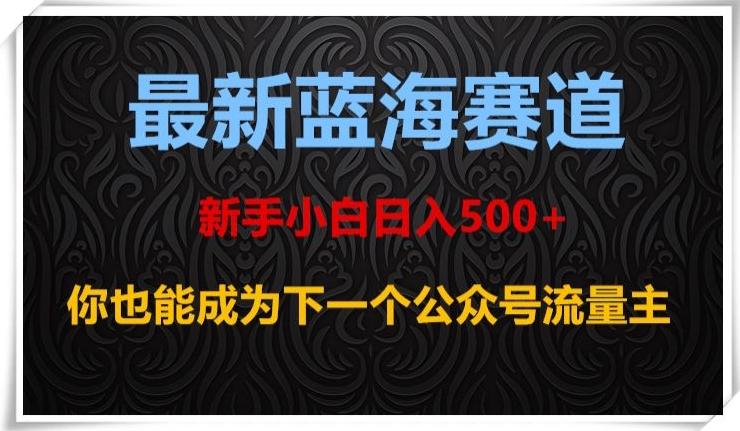 最新蓝海赛道，新手小白日入500+，你也能成为下一个公众号流量主【揭秘】K叔网赚资源-网赚项目-副业赚钱-互联网创业-资源整合K叔网赚资源