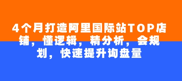 4个月打造阿里国际站TOP店铺，懂逻辑，精分析，会规划，快速提升询盘量K叔网赚资源-网赚项目-副业赚钱-互联网创业-资源整合K叔网赚资源