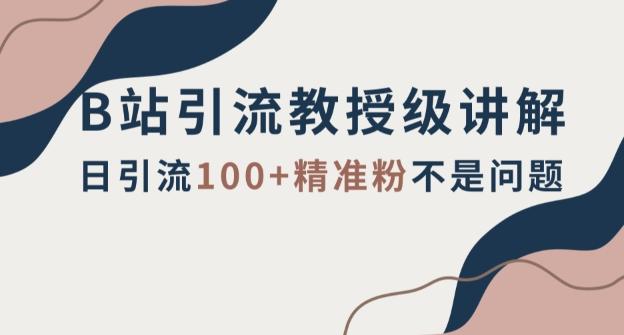 B站引流教授级讲解，细节满满，日引流100+精准粉不是问题【揭秘】K叔网赚资源-网赚项目-副业赚钱-互联网创业-资源整合K叔网赚资源