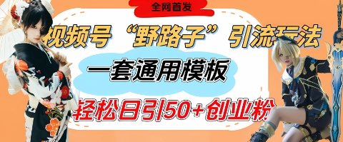 视频号“野路子”玩法，评论区疯狂截流，一套模板单日单号引流50+创业粉K叔网赚资源-网赚项目-副业赚钱-互联网创业-资源整合K叔网赚资源