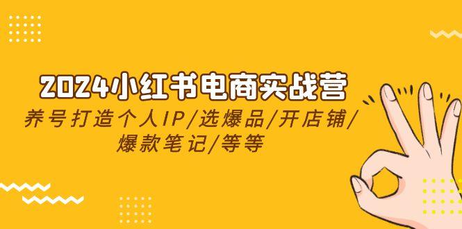 2024小红书电商实战营，养号打造IP/选爆品/开店铺/爆款笔记/等等(24节)K叔网赚资源-网赚项目-副业赚钱-互联网创业-资源整合K叔网赚资源