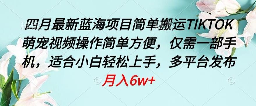 四月最新蓝海项目，简单搬运TIKTOK萌宠视频，操作简单方便，仅需一部手机【揭秘】K叔网赚资源-网赚项目-副业赚钱-互联网创业-资源整合K叔网赚资源