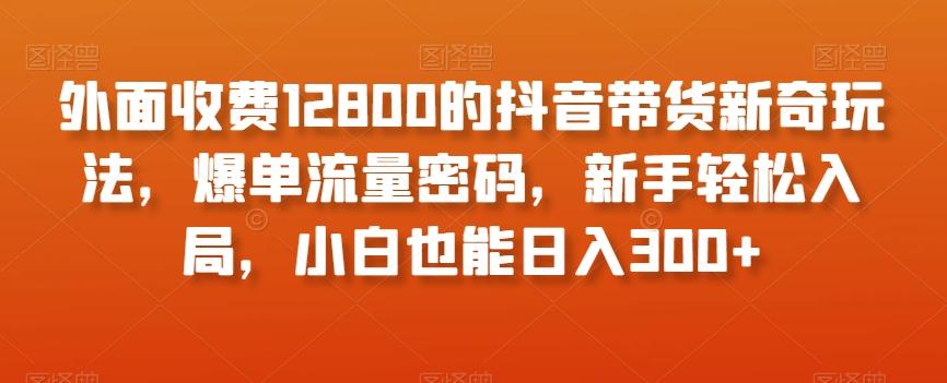 外面收费12800的抖音带货新奇玩法，爆单流量密码，新手轻松入局，小白也能日入300+【揭秘】K叔网赚资源-网赚项目-副业赚钱-互联网创业-资源整合K叔网赚资源