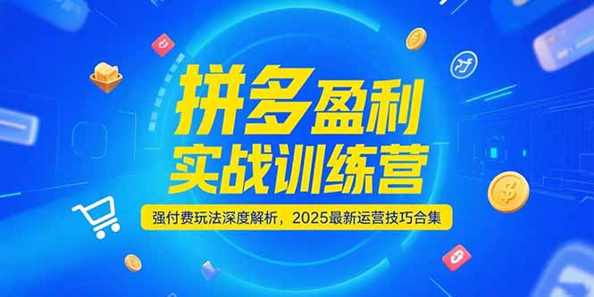 拼多多盈利实战训练营，强付费玩法深度解析，2025运营技巧合集-更新6月K叔网赚资源-网赚项目-副业赚钱-互联网创业-资源整合K叔网赚资源