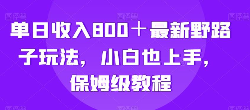 单日收入800＋最新野路子玩法，小白也上手，保姆级教程K叔网赚资源-网赚项目-副业赚钱-互联网创业-资源整合K叔网赚资源