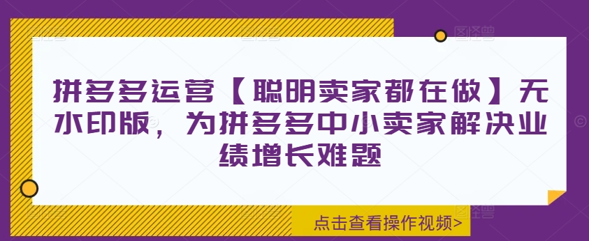 拼多多运营【聪明卖家都在做】无水印版，为拼多多中小卖家解决业绩增长难题K叔网赚资源-网赚项目-副业赚钱-互联网创业-资源整合K叔网赚资源