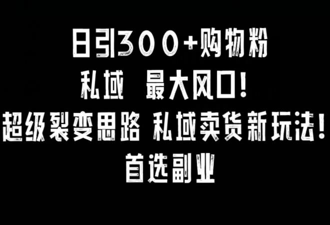 日引300+购物粉，超级裂变思路，私域卖货新玩法，小红书首选副业【揭秘】K叔网赚资源-网赚项目-副业赚钱-互联网创业-资源整合K叔网赚资源