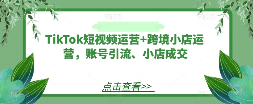 TikTok短视频运营+跨境小店运营，账号引流、小店成交K叔网赚资源-网赚项目-副业赚钱-互联网创业-资源整合K叔网赚资源