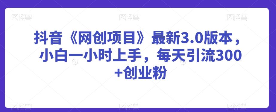 抖音《网创项目》最新3.0版本，小白一小时上手，每天引流300+创业粉【揭秘】K叔网赚资源-网赚项目-副业赚钱-互联网创业-资源整合K叔网赚资源