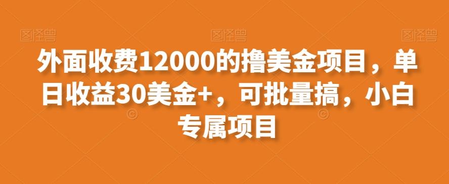 外面收费12000的撸美金项目，单日收益30美金+，可批量搞，小白专属项目K叔网赚资源-网赚项目-副业赚钱-互联网创业-资源整合K叔网赚资源