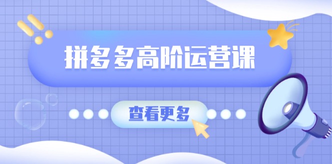 拼多多高阶运营课：极致群爆款玩法，轻付费无尽复制，打造单品爆款之路K叔网赚资源-网赚项目-副业赚钱-互联网创业-资源整合K叔网赚资源