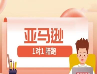 亚马逊1对1陪跑课(FBA/FBM精铺)跨境亚马逊教程K叔网赚资源-网赚项目-副业赚钱-互联网创业-资源整合K叔网赚资源