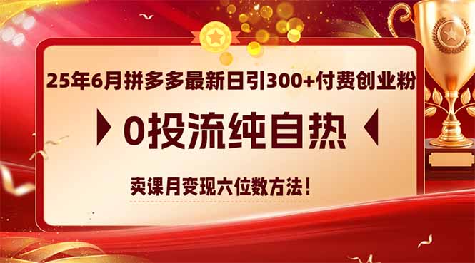 25年6月拼多多最新日引300+付费创业粉，0投流纯自热 卖课月变现六位数方法K叔网赚资源-网赚项目-副业赚钱-互联网创业-资源整合K叔网赚资源