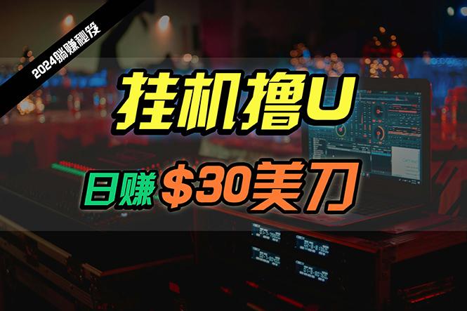 (10013期)日赚30美刀，2024最新海外挂机撸U内部项目，全程无人值守，可批量放大K叔网赚资源-网赚项目-副业赚钱-互联网创业-资源整合K叔网赚资源
