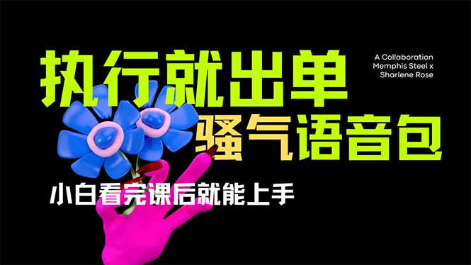 爆火全网的开车导航骚气语音包,只要执行就出单，小白看完课程就能实操…K叔网赚资源-网赚项目-副业赚钱-互联网创业-资源整合K叔网赚资源
