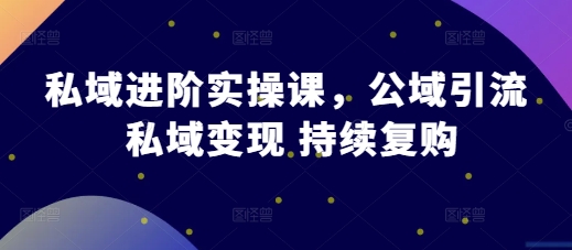 私域进阶实操课，公域引流 私域变现 持续复购K叔网赚资源-网赚项目-副业赚钱-互联网创业-资源整合K叔网赚资源