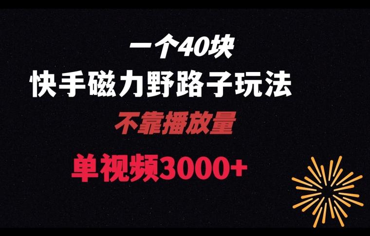 一个40块，快手联合美团磁力新玩法，无视机制野路子玩法，单视频收益4位数【揭秘】K叔网赚资源-网赚项目-副业赚钱-互联网创业-资源整合K叔网赚资源