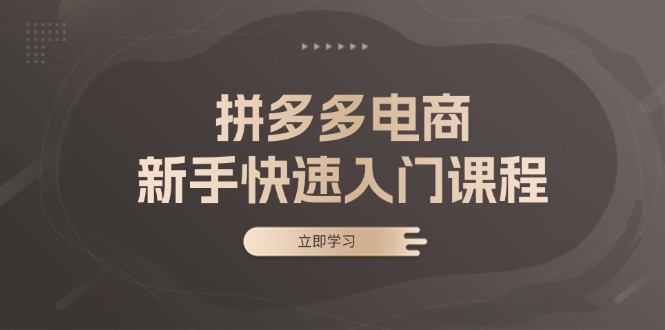 拼多多电商新手快速入门课程：涵盖基础、实战与选款，助力小白轻松上手K叔网赚资源-网赚项目-副业赚钱-互联网创业-资源整合K叔网赚资源