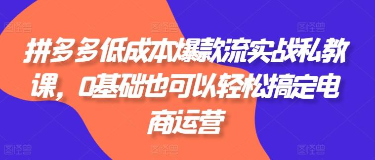 拼多多低成本爆款流实战私教课，0基础也可以轻松搞定电商运营K叔网赚资源-网赚项目-副业赚钱-互联网创业-资源整合K叔网赚资源