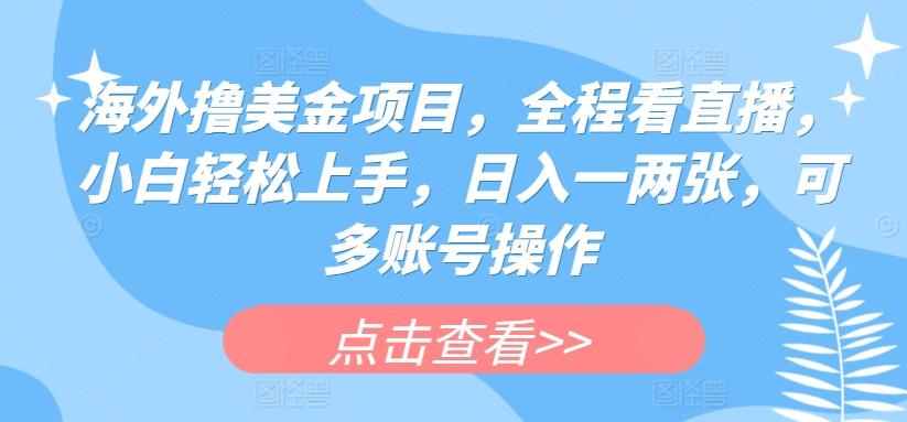 海外撸美金项目，全程看直播，小白轻松上手，日入一两张，可多账号操作【揭秘】K叔网赚资源-网赚项目-副业赚钱-互联网创业-资源整合K叔网赚资源