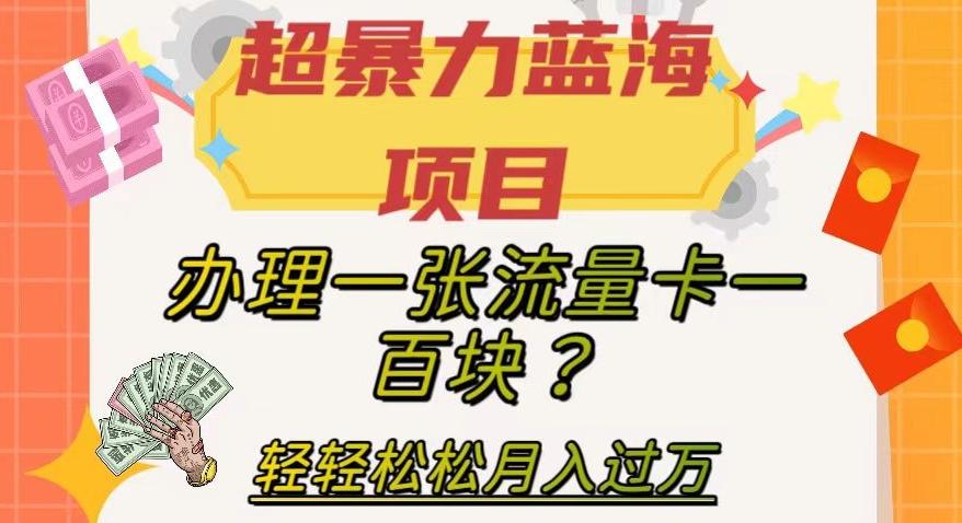 超暴力蓝海项目，办理一张流量卡一百块？轻轻松松月入过万，保姆级教程【揭秘】K叔网赚资源-网赚项目-副业赚钱-互联网创业-资源整合K叔网赚资源