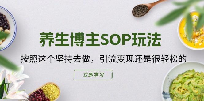 养生博主SOP玩法，按照这个坚持去做，引流变现还是很轻松的K叔网赚资源-网赚项目-副业赚钱-互联网创业-资源整合K叔网赚资源