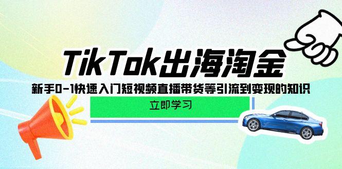 (10035期)TikTok-出海淘金，新手0-1快速入门短视频直播带货等引流到变现的知识K叔网赚资源-网赚项目-副业赚钱-互联网创业-资源整合K叔网赚资源
