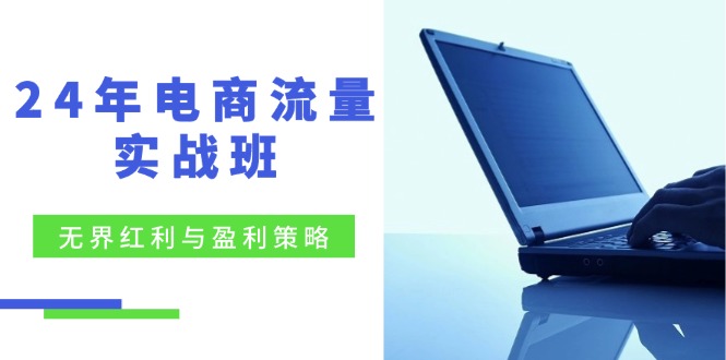 24年电商流量实战班：无界 红利与盈利策略，终极提升/关键词优化/精准…K叔网赚资源-网赚项目-副业赚钱-互联网创业-资源整合K叔网赚资源