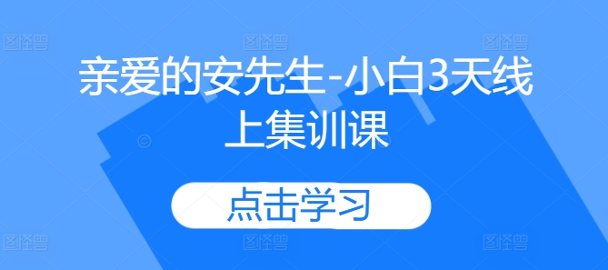 亲爱的安先生-小白3天线上集训课K叔网赚资源-网赚项目-副业赚钱-互联网创业-资源整合K叔网赚资源