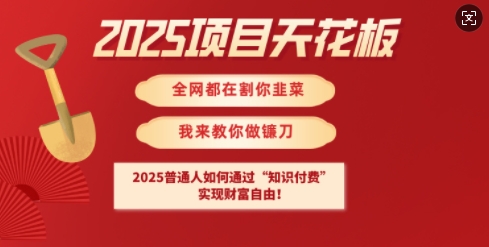 2025项目天花板普通人如何通过知识付费，实现财F自由【揭秘】K叔网赚资源-网赚项目-副业赚钱-互联网创业-资源整合K叔网赚资源